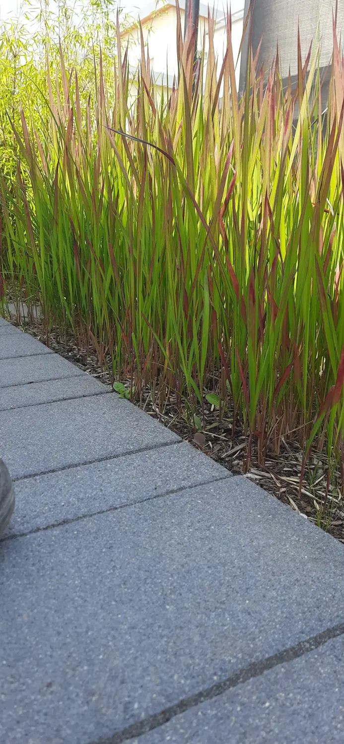 Krenzel - Garten und Landschaftsbau - krenzel