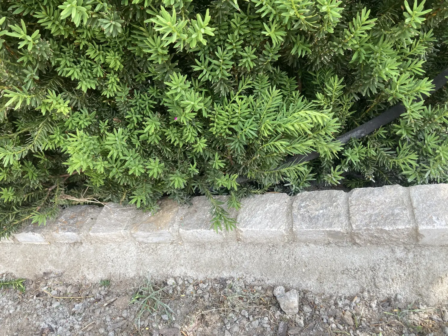 Krenzel - Garten und Landschaftsbau - Natursteine ​​in ihrer Vielfalt
