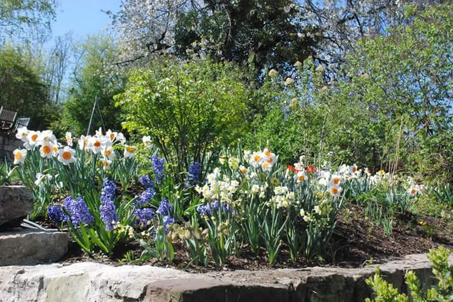 Krenzel - Garten und Landschaftsbau - krenzel