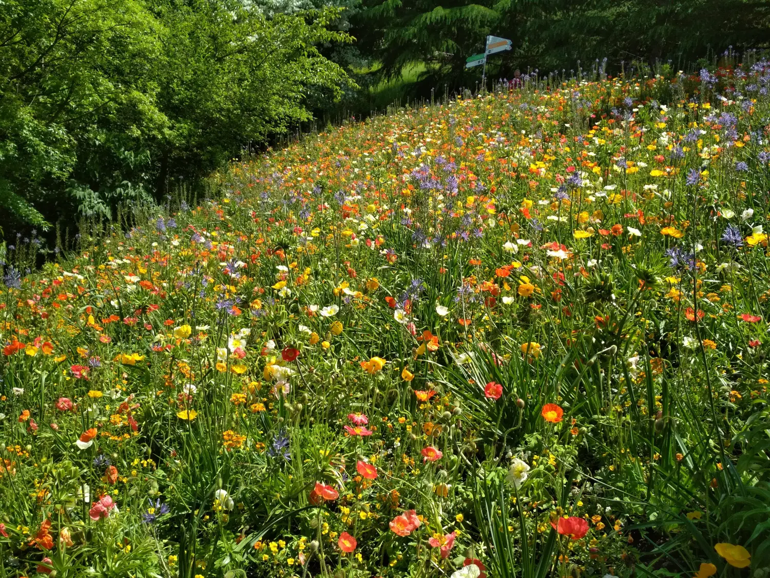 Krenzel - Garten und Landschaftsbau - krenzel