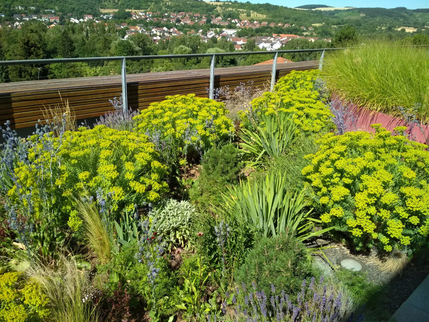 Krenzel - Garten und Landschaftsbau - krenzel