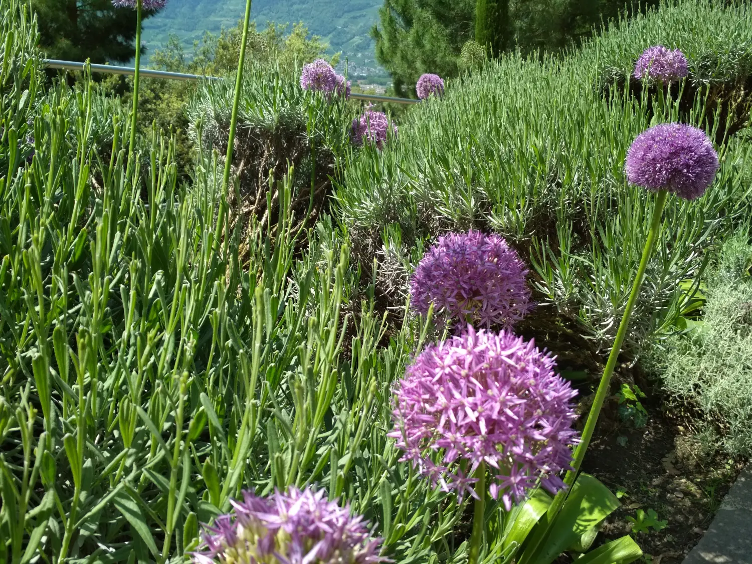 Krenzel - Garten und Landschaftsbau - Naturnahe Gartengestaltung als Firmenphilosophie