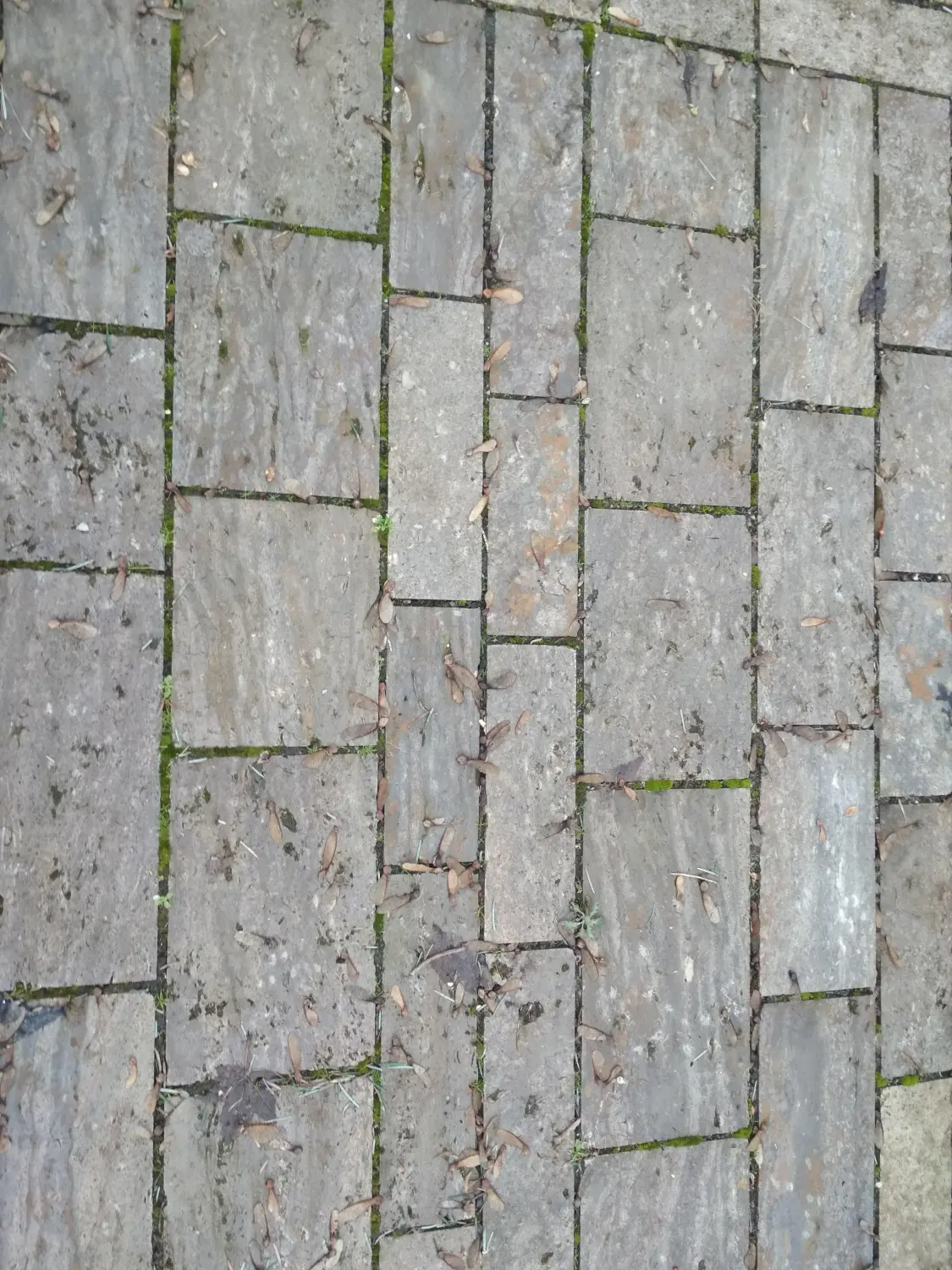 Krenzel – Garten und Landschaftsbau – Wege und Plätze