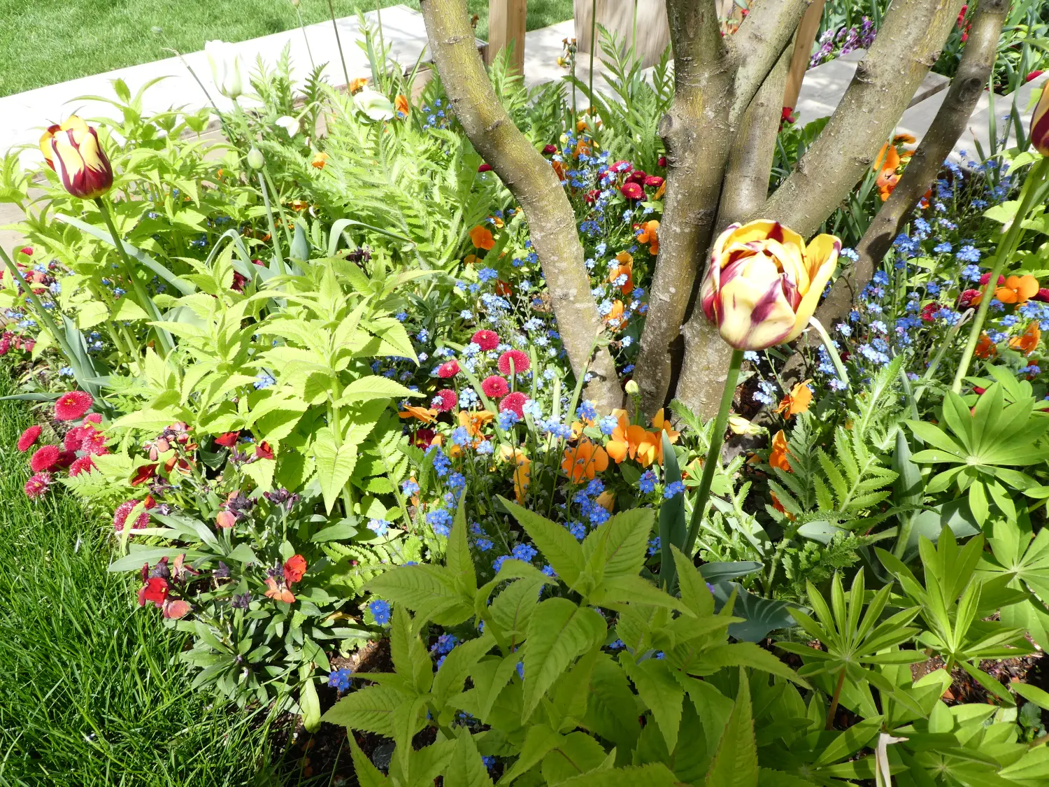 Krenzel - Garten und Landschaftsbau - Garten