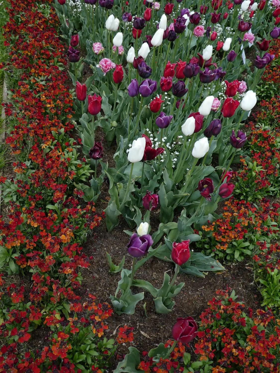 Krenzel - Garten und Landschaftsbau - krenzel