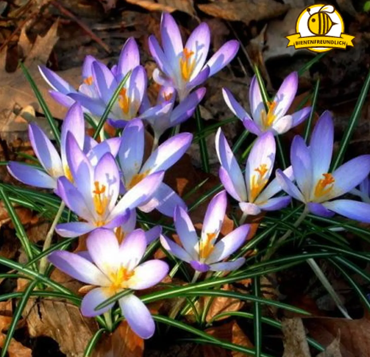 Krenzel - Garten und Landschaftsbau - krenzel