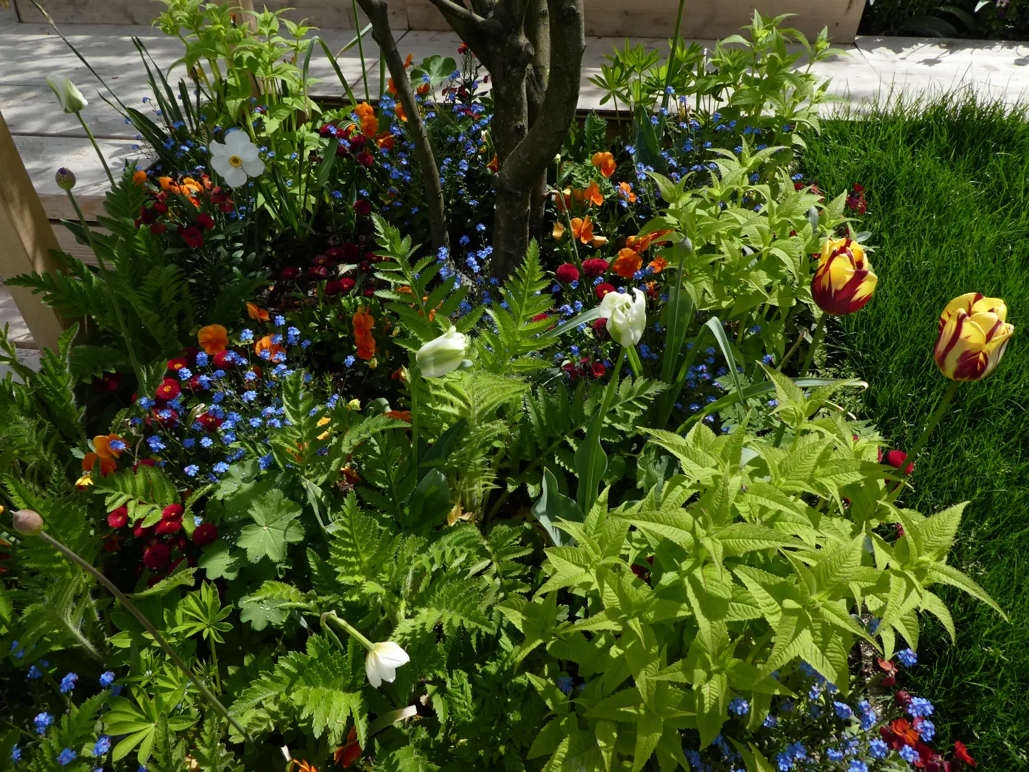 Krenzel - Garten- und Landschaftsbau -Staudenbeeten